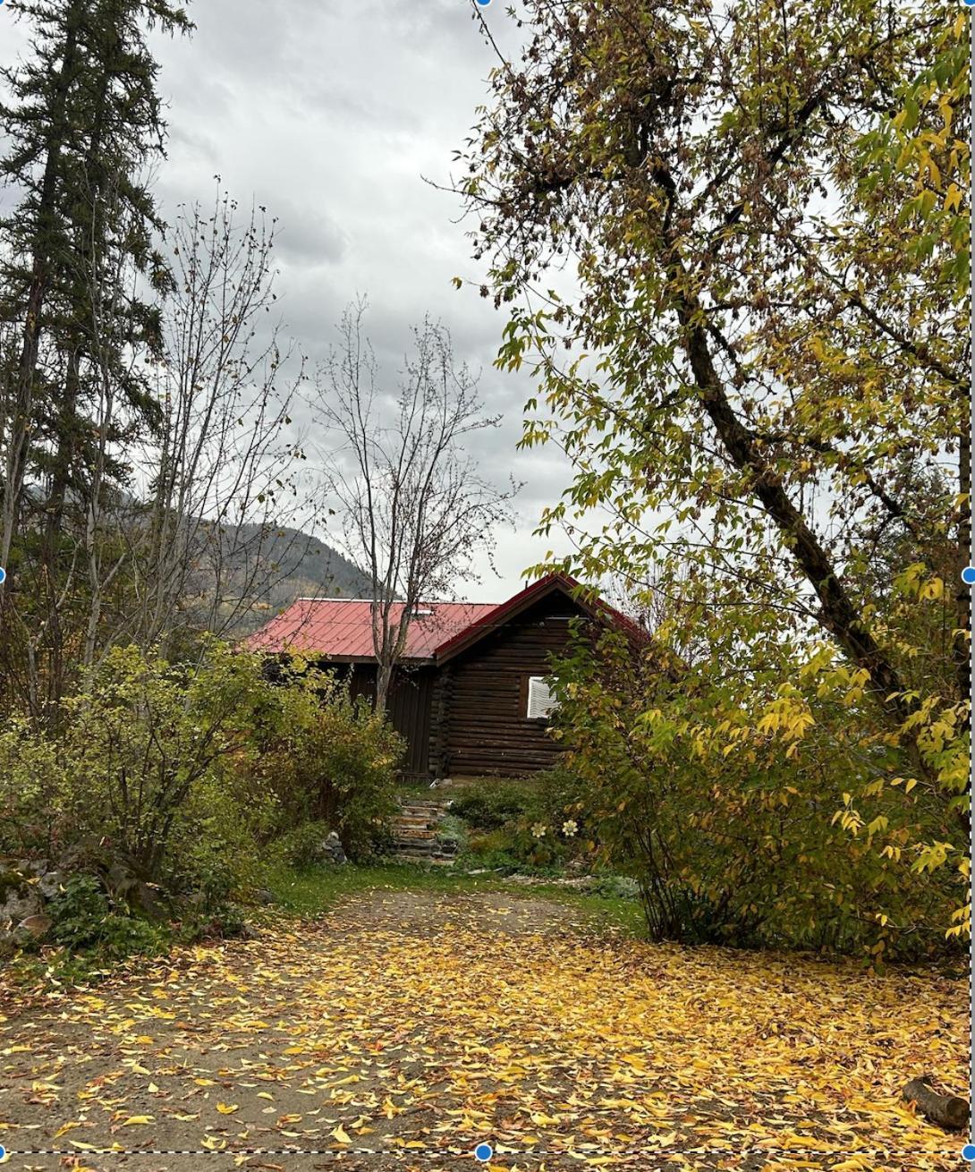 Morning Star Log Cabin Nelson Rum bild